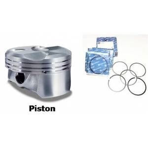 Piston Sekman Takım - Transporter - T4, 2.4